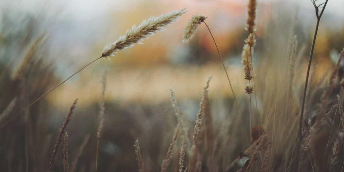 Discover Solitude: The Joys of Hiking Alone