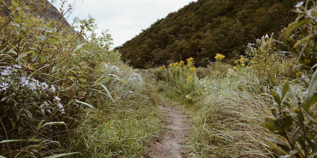 Top Hiking Trails: Stunning Routes for Stargazing Adventures