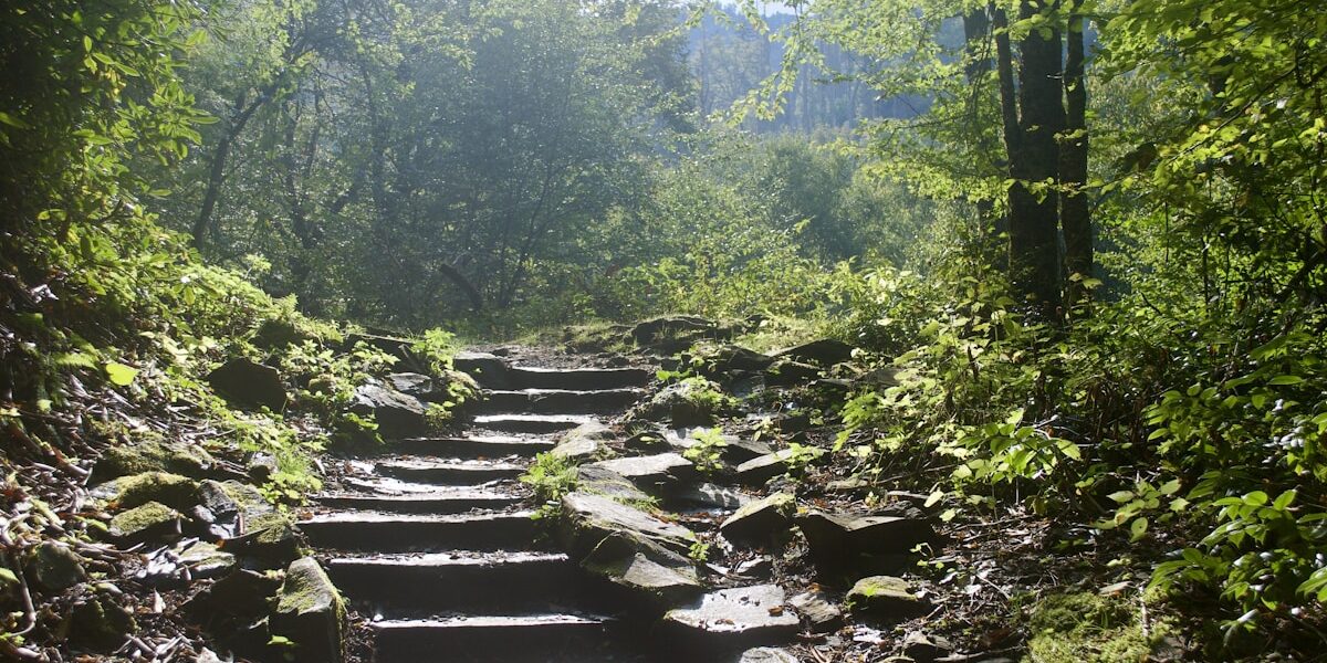 Safely Conquer Remote Hiking Trails: Top Tips