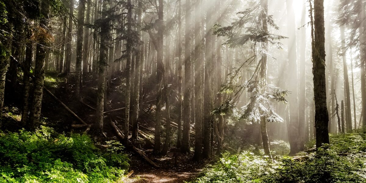 Master Your Long-Distance Trek: Planning Guide