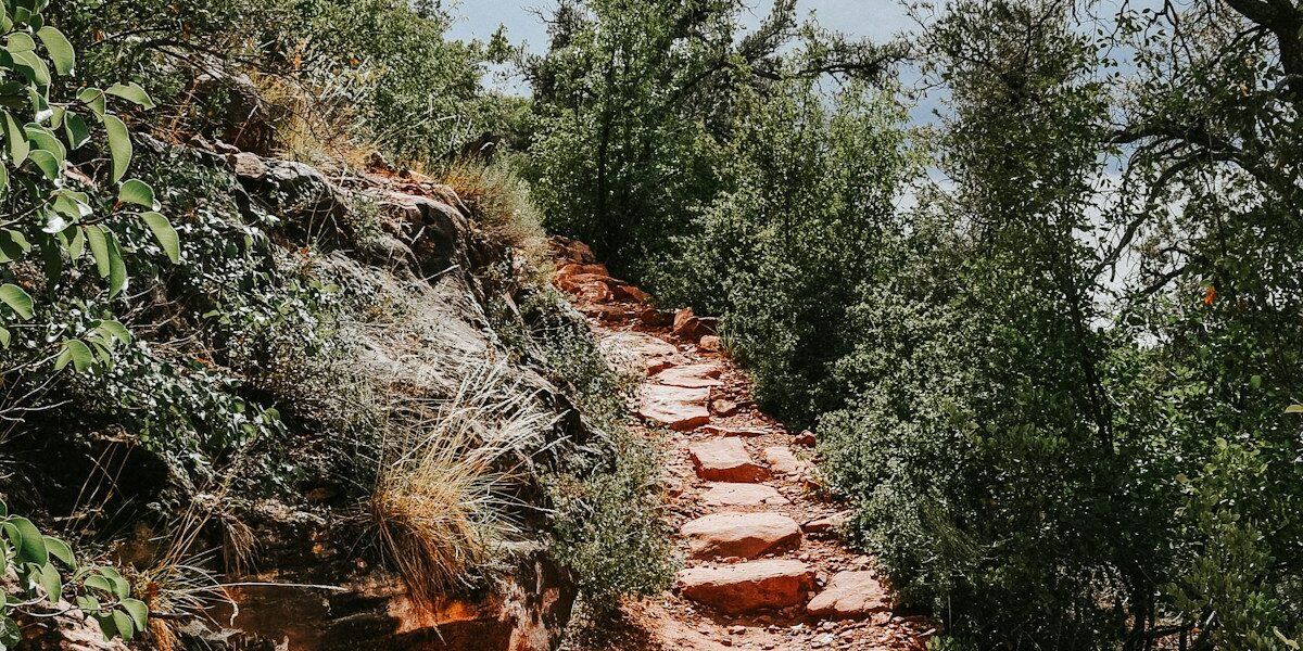 Master Hiking Routes: GPS-Free Navigation Tips