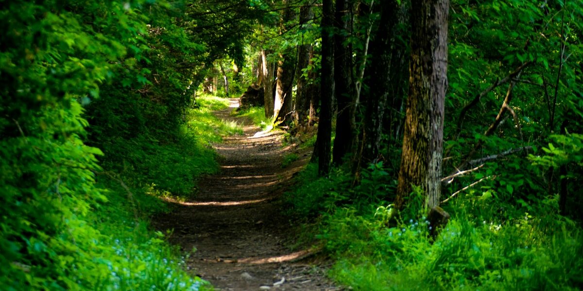 Master Your Long-Distance Trek: Planning Guide